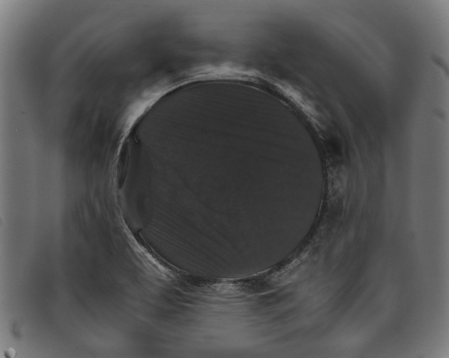 X0000097801463200804041304