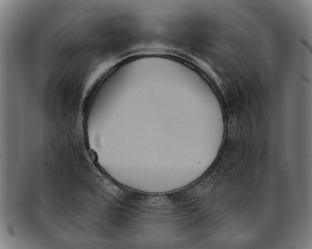 X0000097801464200804041304