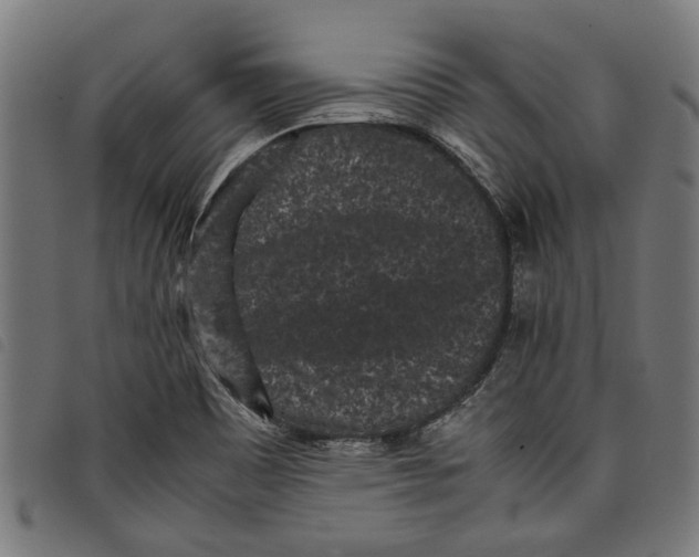 X0000097801465200804041304