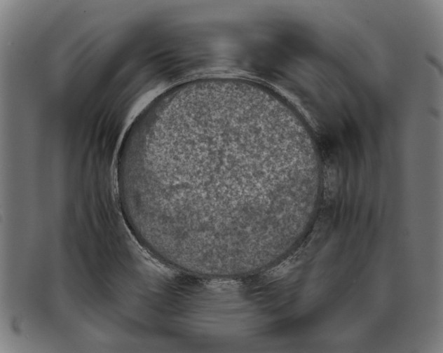 X0000097801466200804041303