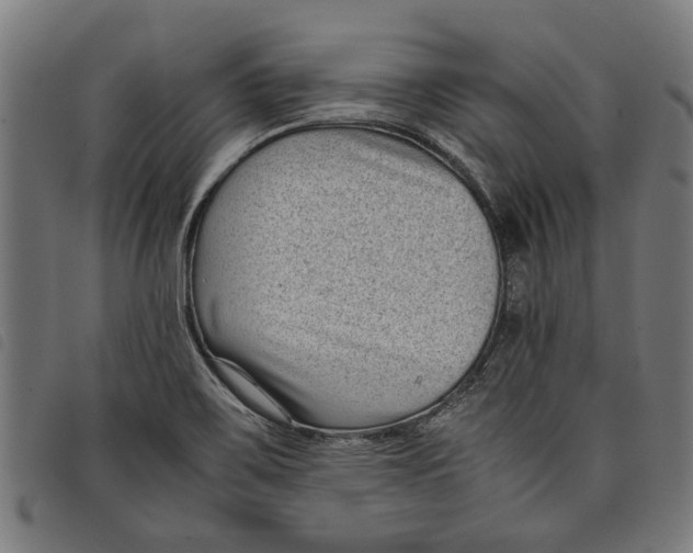 X0000097801467200804041303