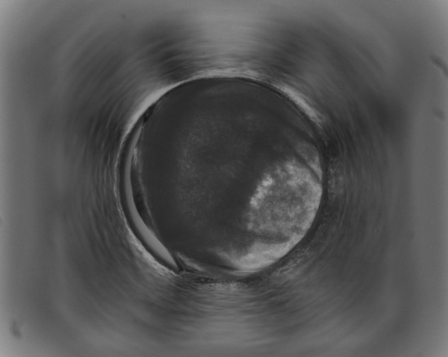 X0000097801468200804041303