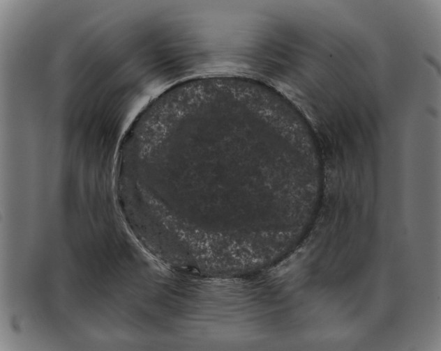 X0000097801469200804041303