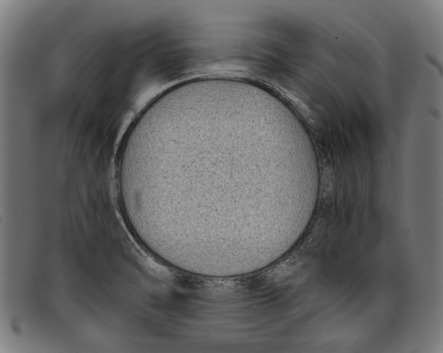 X0000097801470200804041303