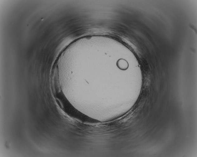 X0000097801471200804041303