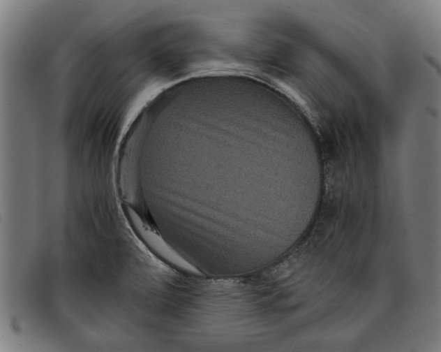 X0000097801472200804041303