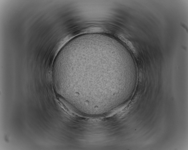 X0000097801473200804041303