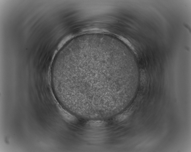 X0000097801474200804041303