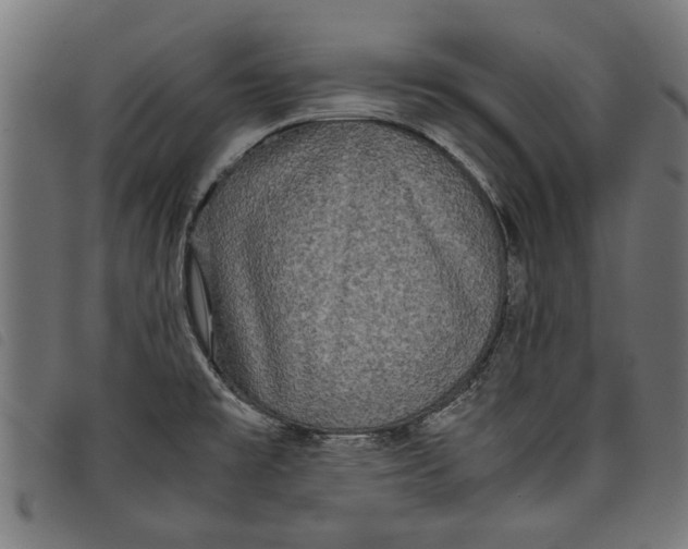 X0000097801477200804041303