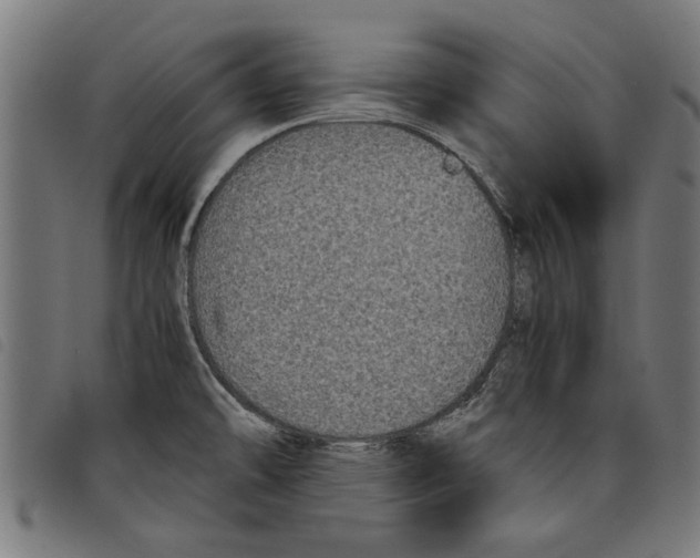 X0000097801478200804041303