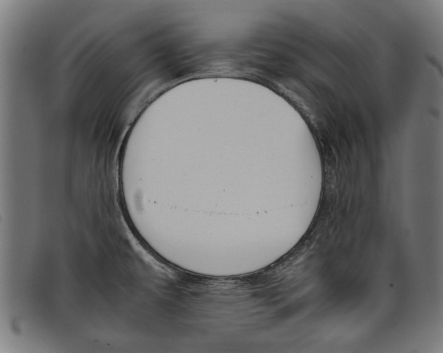 X0000097801479200804041303