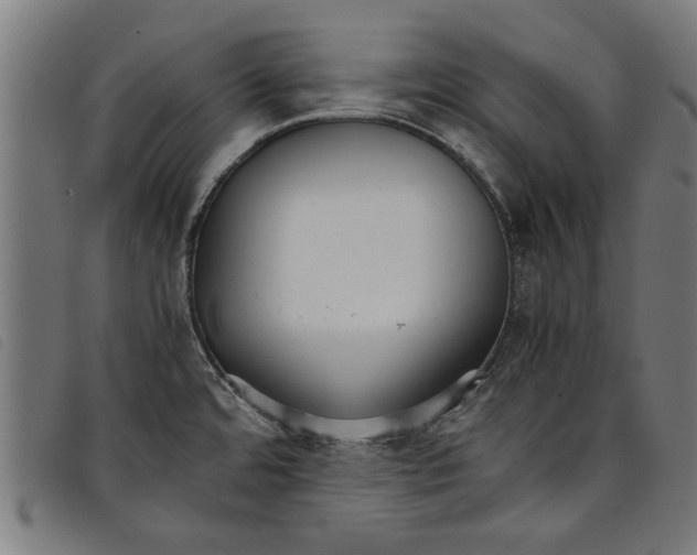 X0000097801480200804041303