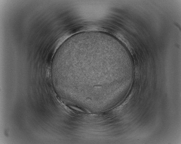 X0000097801481200804041303