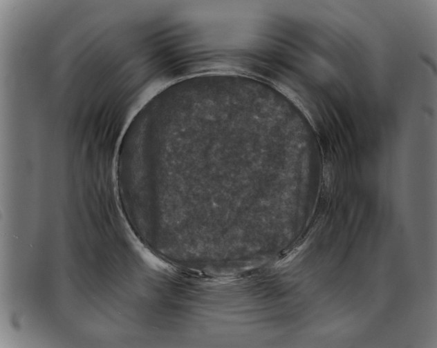 X0000097801482200804041303