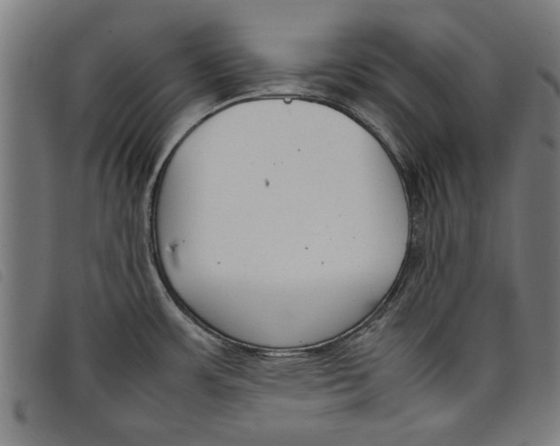 X0000097801483200804041303