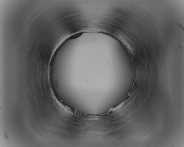 X0000097801484200804041303