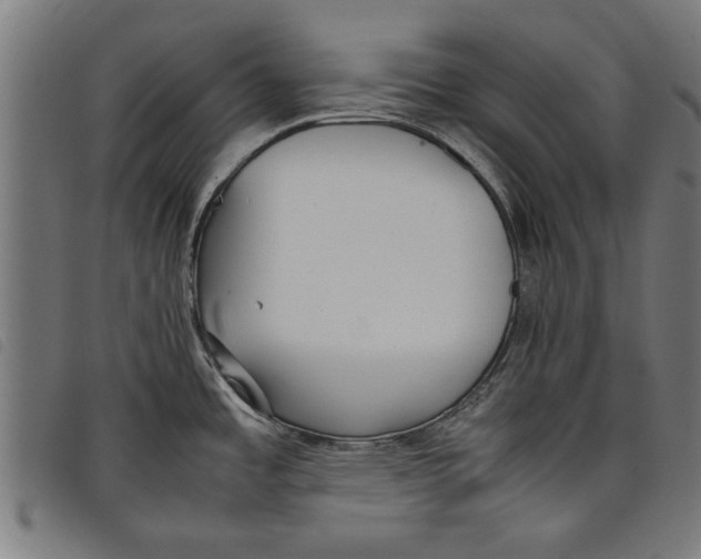 X0000097801485200804041303