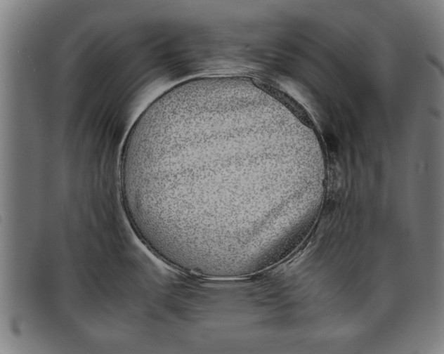 X0000097801487200804041303