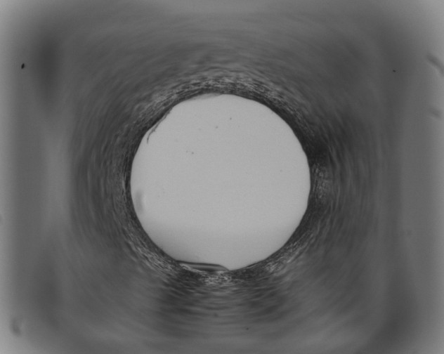 X0000097801489200804041303