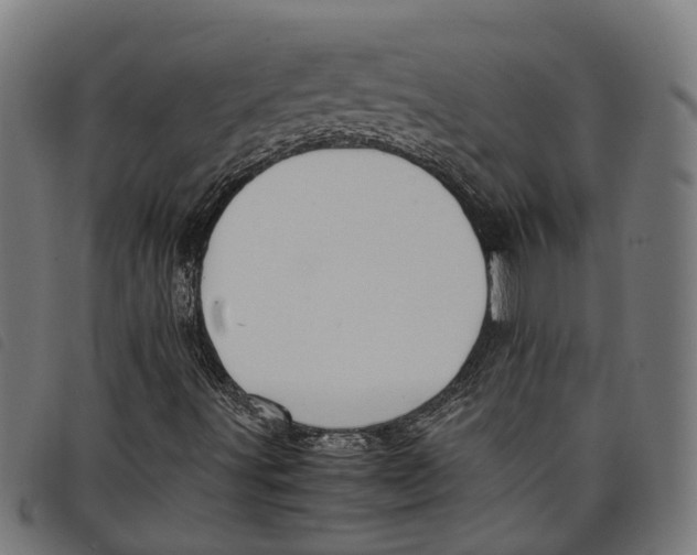 X0000097801491200804041303