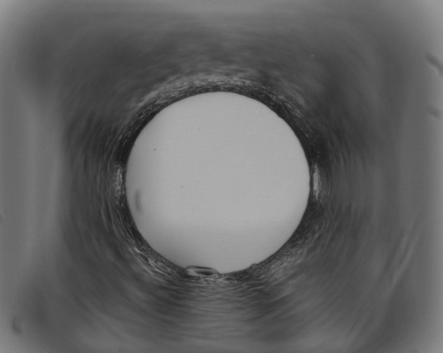 X0000097801492200804041303