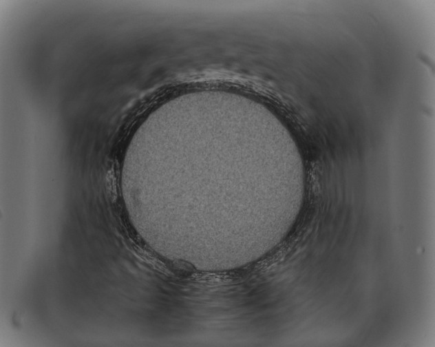 X0000097801493200804041303