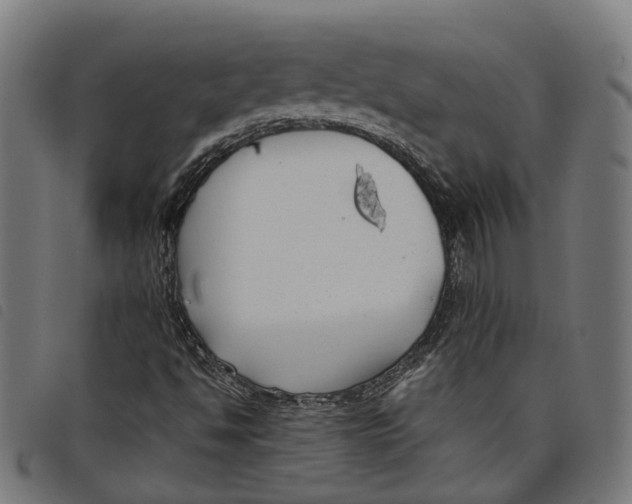 X0000097801494200804041303