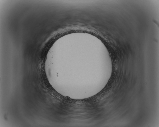 X0000097801495200804041303