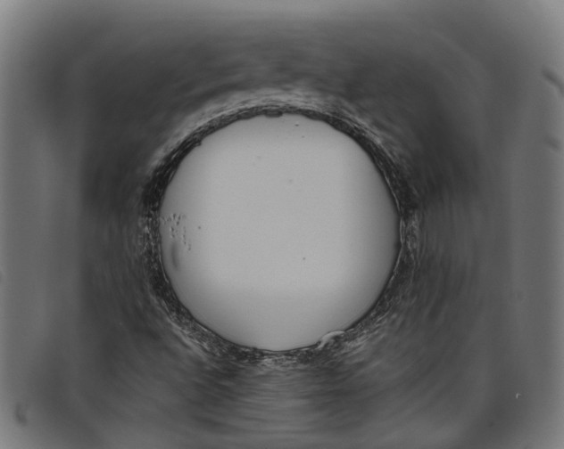 X0000097801496200804041303