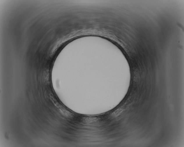 X0000097801499200804041303