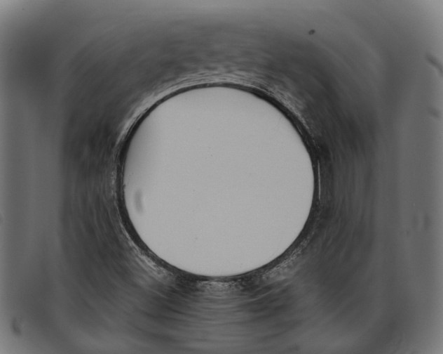 X0000097801500200804041303