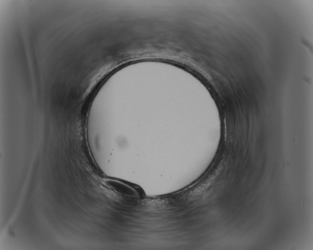 X0000097801501200804041303