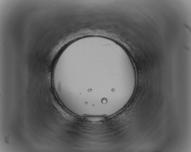 X0000097801503200804041303