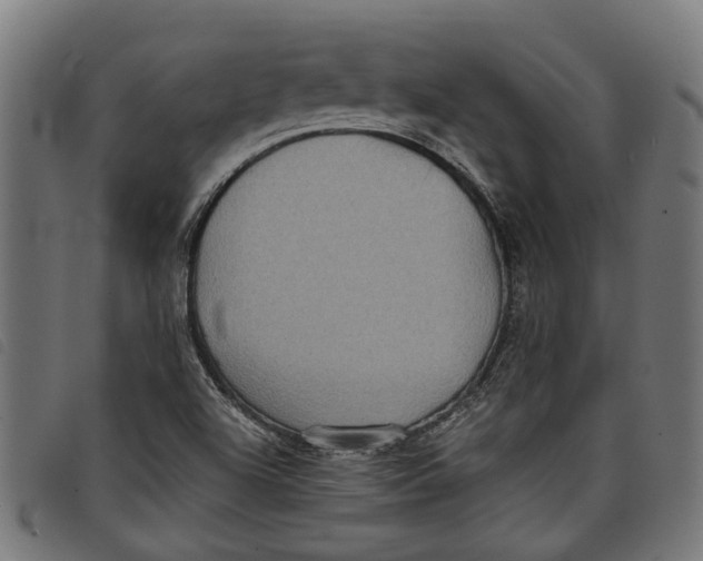 X0000097801504200804041303