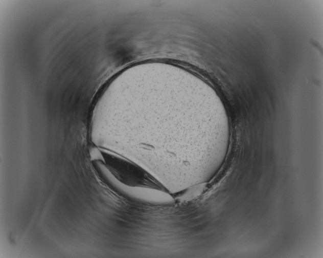 X0000097801505200804041303