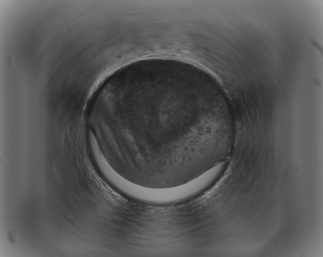 X0000097801506200804041303