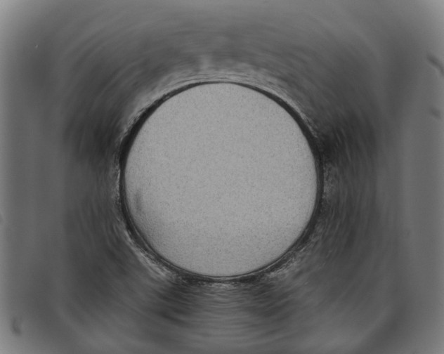 X0000097801507200804041303