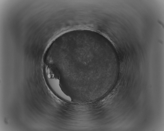 X0000097801508200804041303