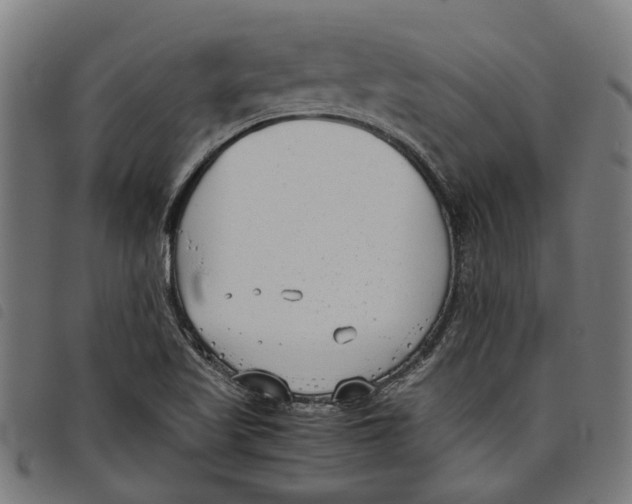 X0000097801509200804041303