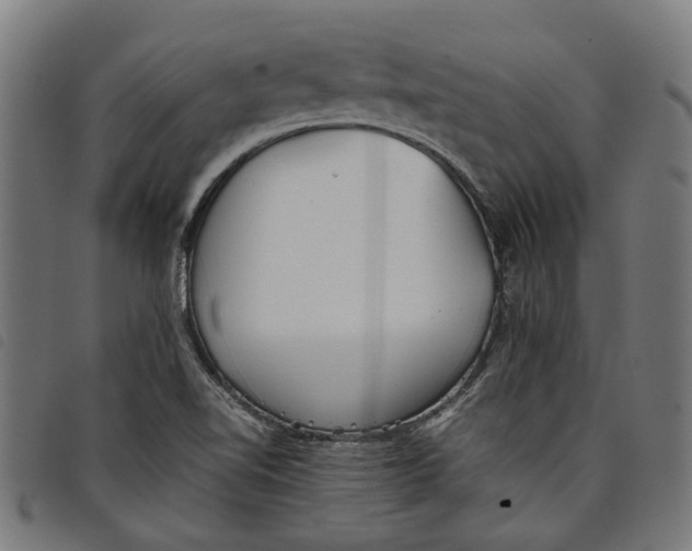 X0000097801510200804041303