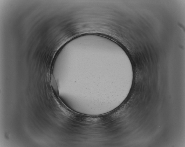 X0000097801513200804041303