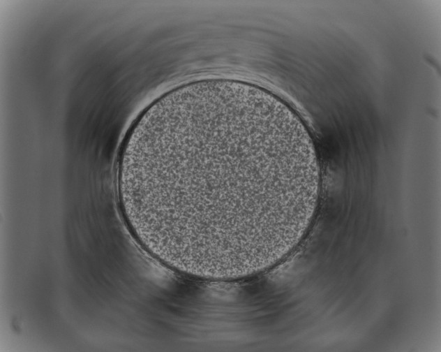 X0000097801514200804041303