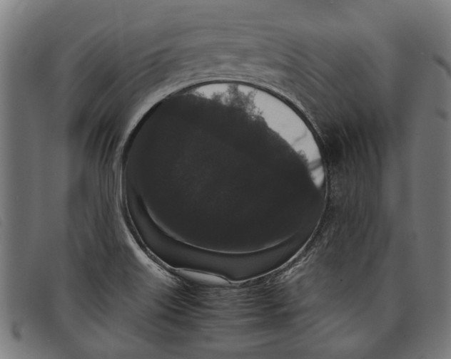 X0000097801515200804041303