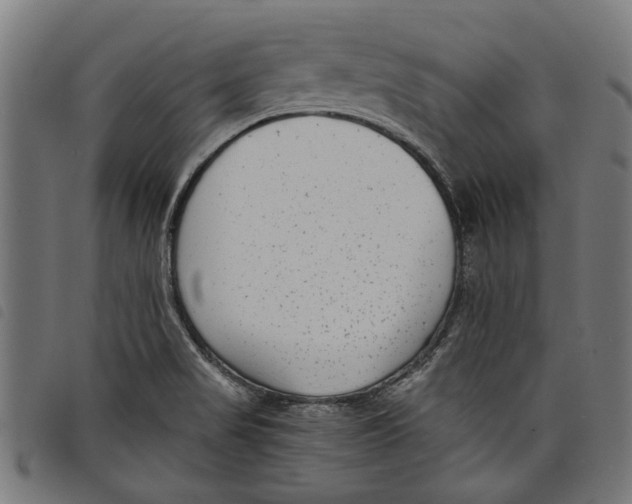 X0000097801517200804041303