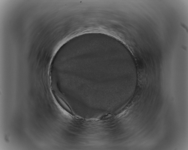 X0000097801519200804041303