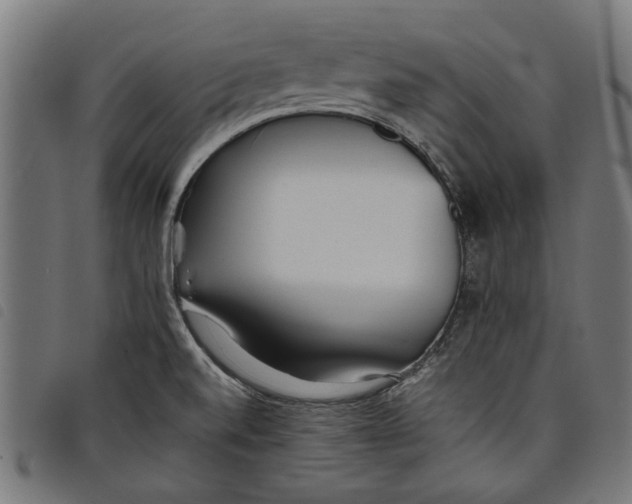 X0000097801520200804041303