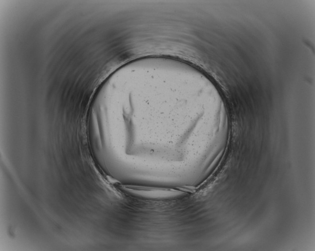 X0000097801521200804041303