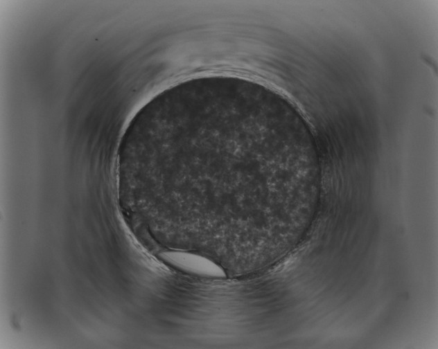 X0000097801522200804041303