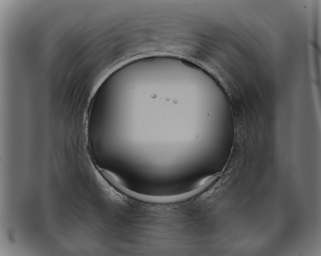 X0000097801524200804041303