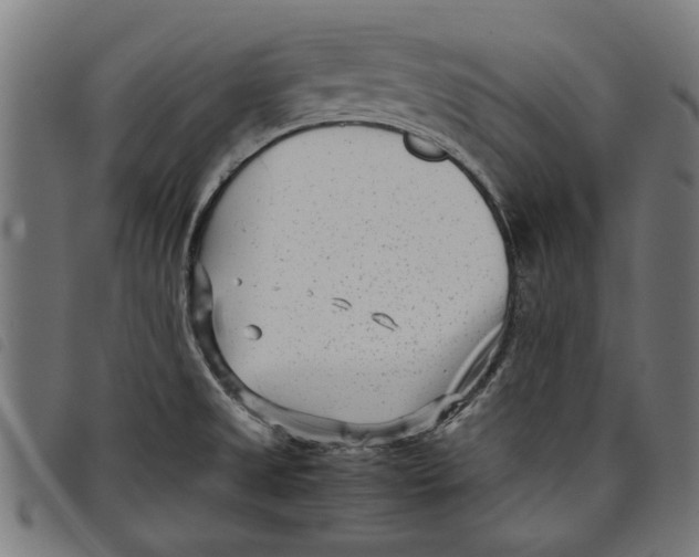 X0000097801525200804041303